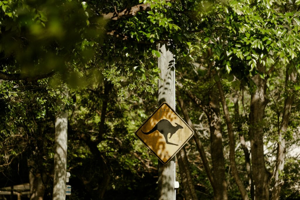 Kangaroo Crossing Sign, Australia